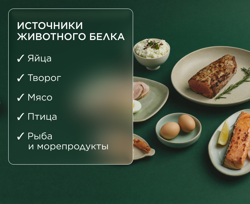 Источники животного белка