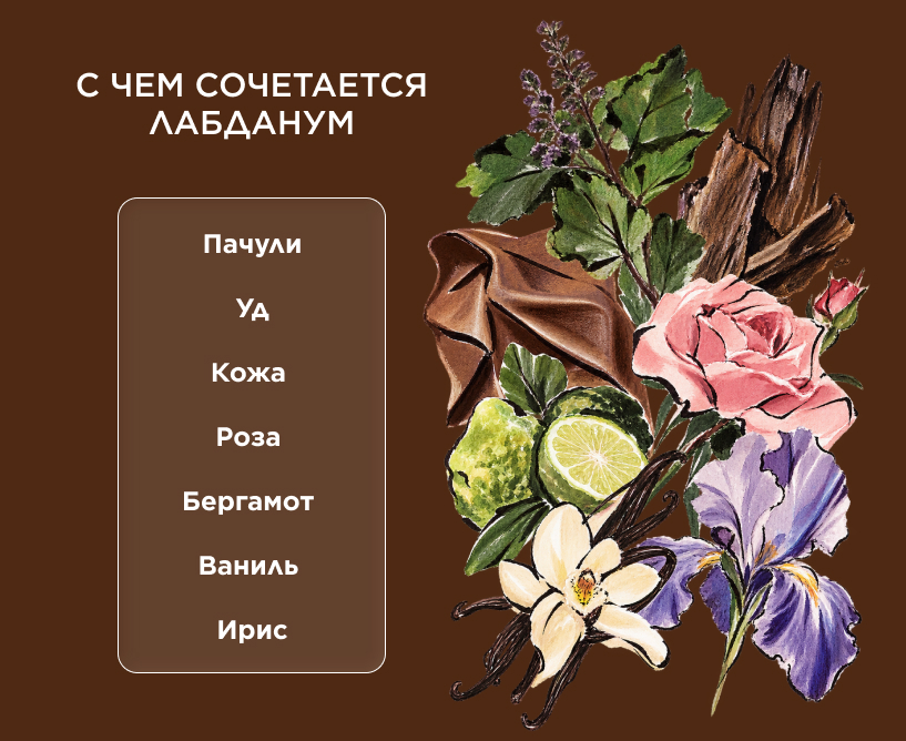  С чем сочетается лабданум