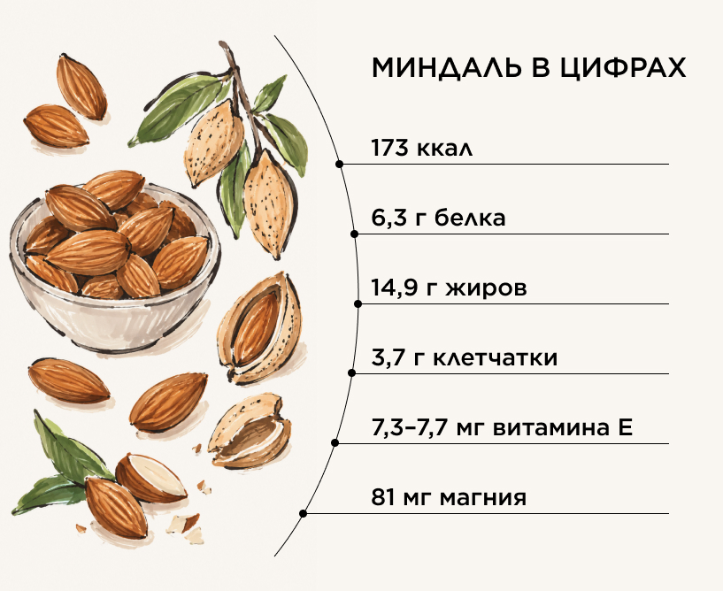 Миндаль в цифрах