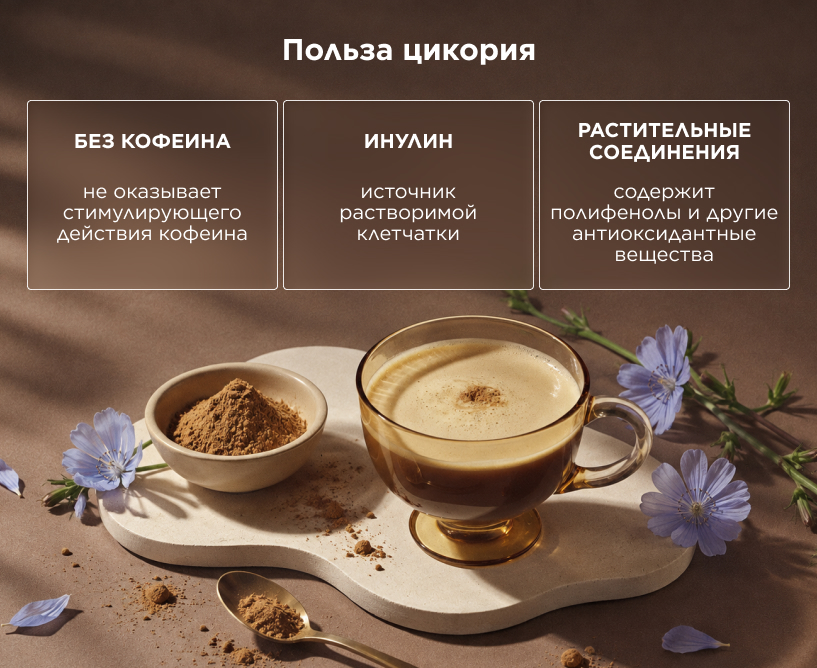 Польза цикория для здоровья