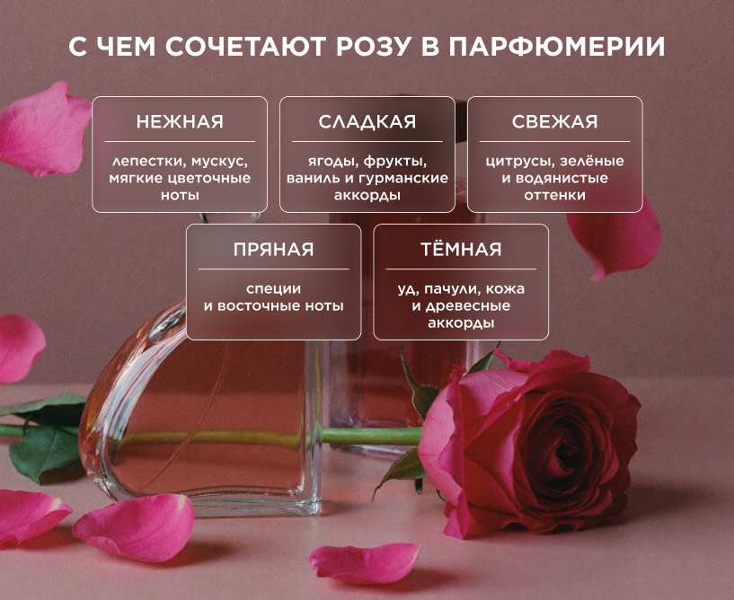 С чем сочетают розу в парфюмерии