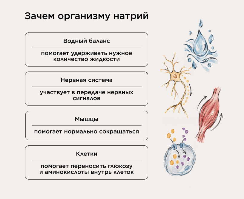 Зачем организму натрий