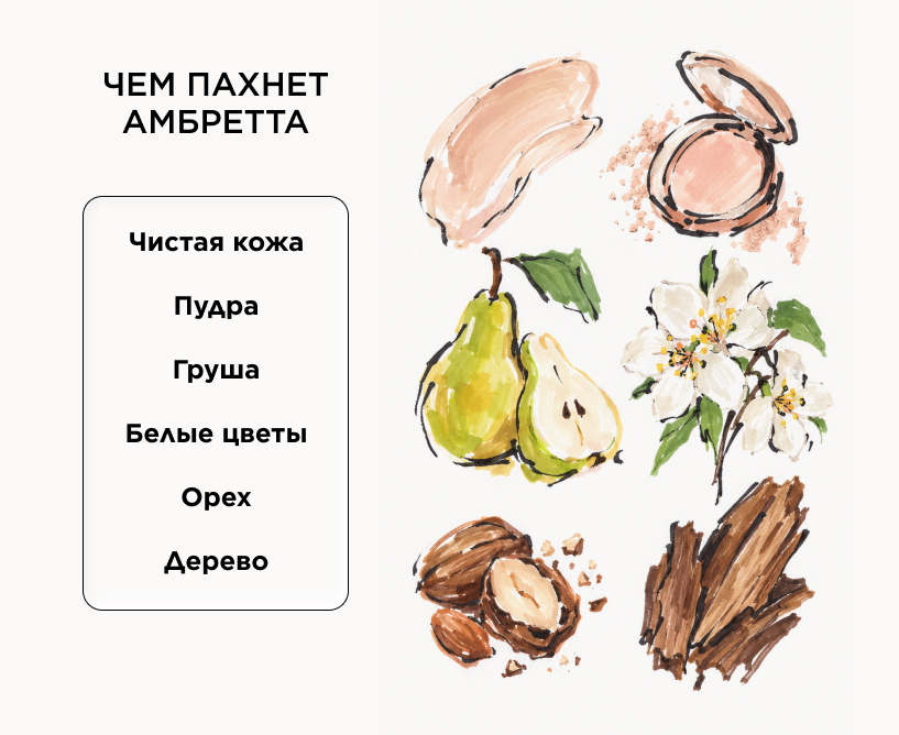 Чем пахнет амбретта