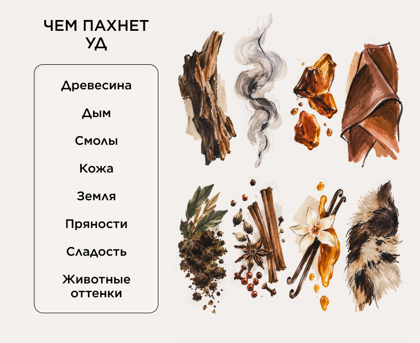 Как пахнет уд