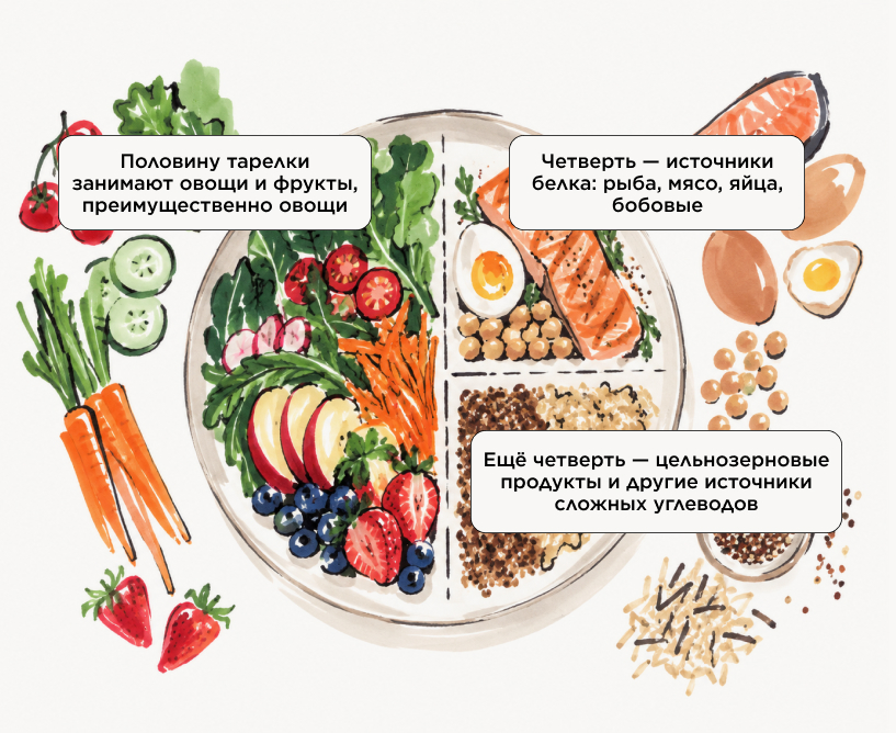 из чего состоит гарвардская тарелка