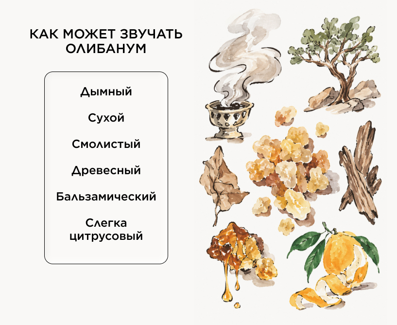 Чем пахнет олибанум