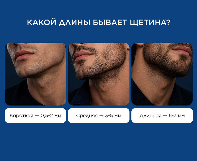 Какая бывает щетина по длине