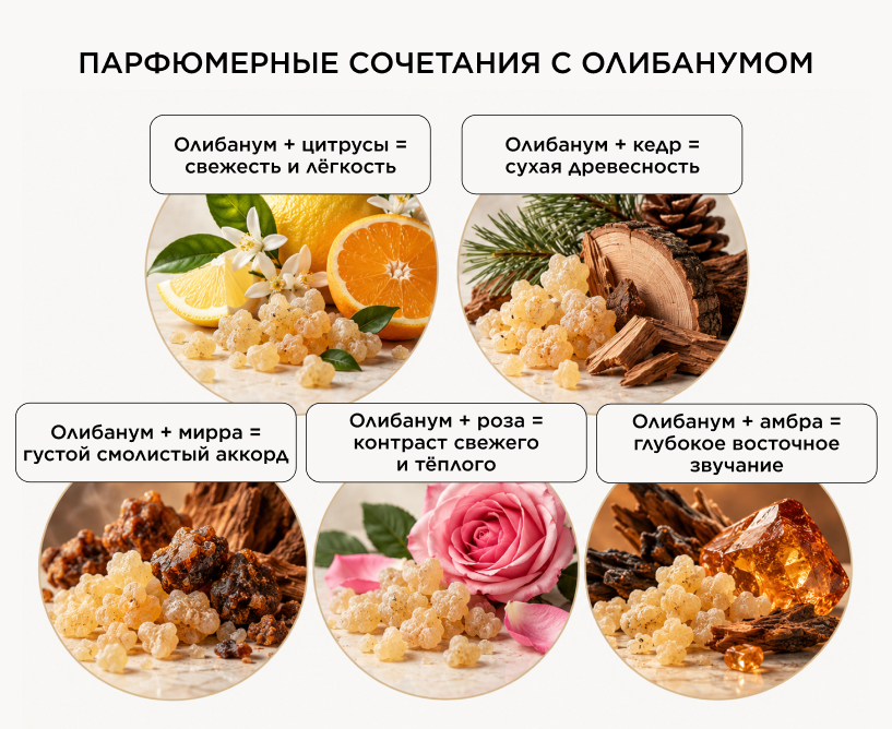 С какими нотами сочетается олибанум