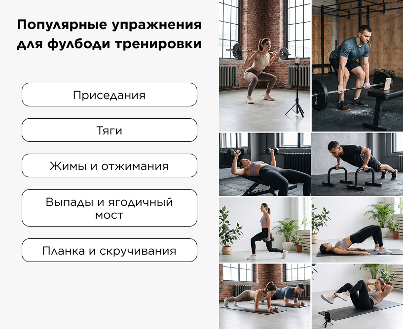 Популярные упражнения для фулбоди тренировки