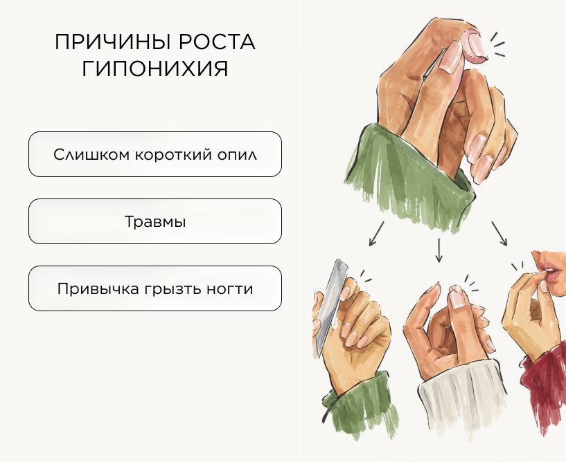 Почему гипонихий разрастается