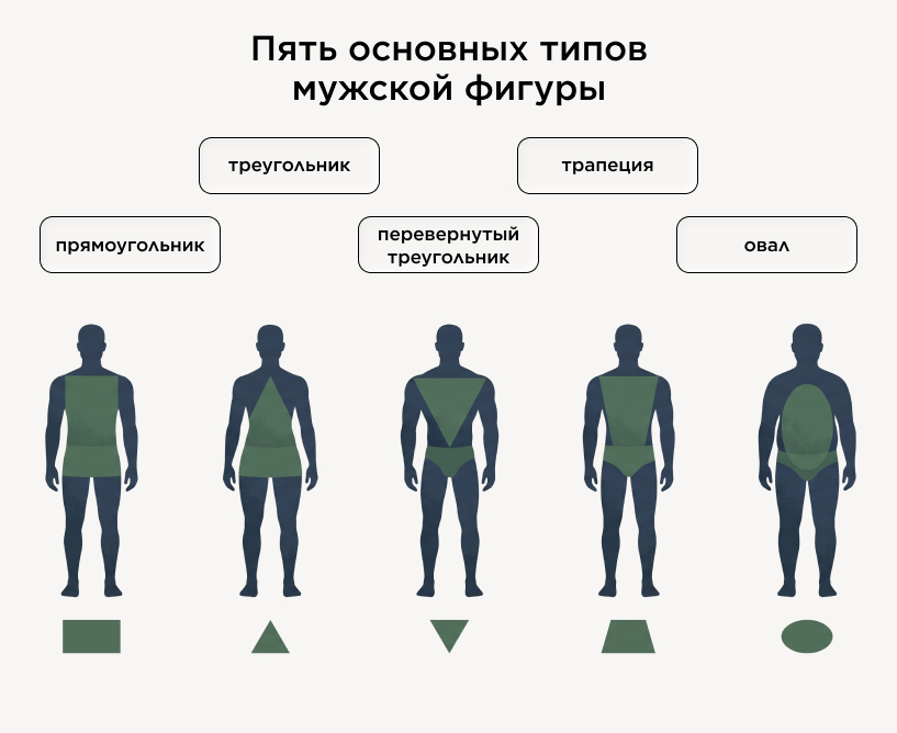 Пять основных типов мужской фигуры