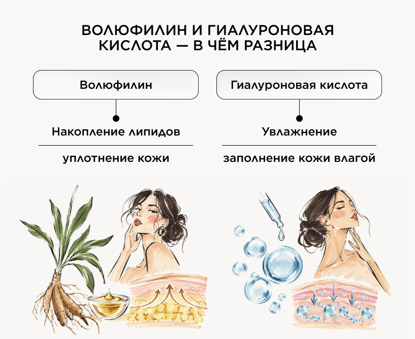 Волюфилин и гиалуроновая кислота — в чём разница